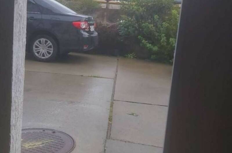 Изображение Изображение квартиры &quot;Квартира в КЖЗ «Спортивный»&quot; #2 #2