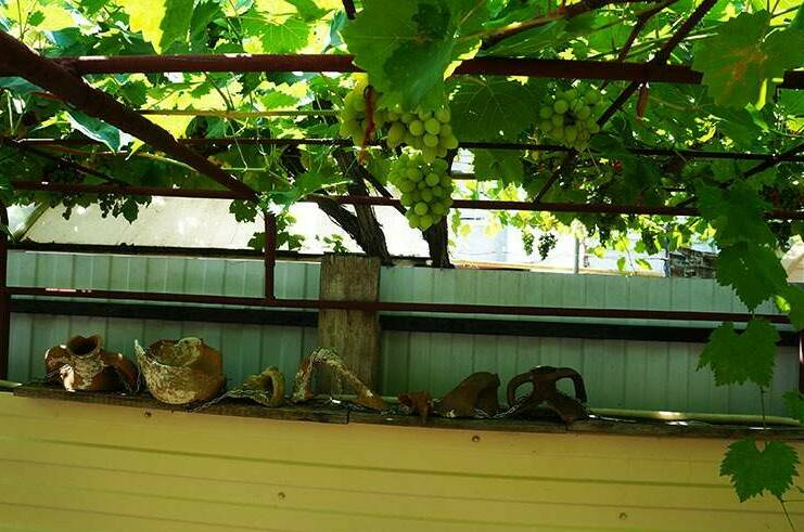 Изображение Изображение гостиницы &quot;Гостевой дом «Иван да Марья»&quot; #8 #8