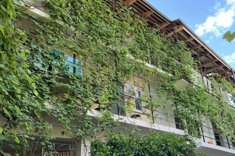 Изображение Изображение гостиницы "Гостевой дом «Адыга»" #1 #1