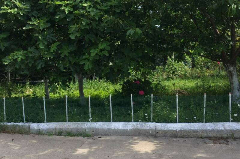 Изображение Изображение квартиры &quot;Этаж под ключ на Вольной&quot; #7 #7