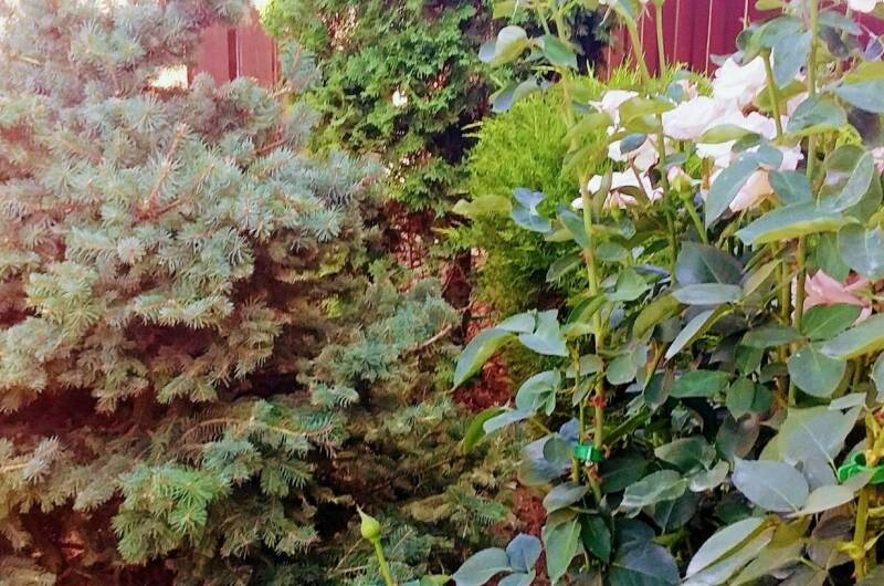 Изображение Изображение квартиры &quot;Двухкомнатный номер в частном доме&quot; #3 #3