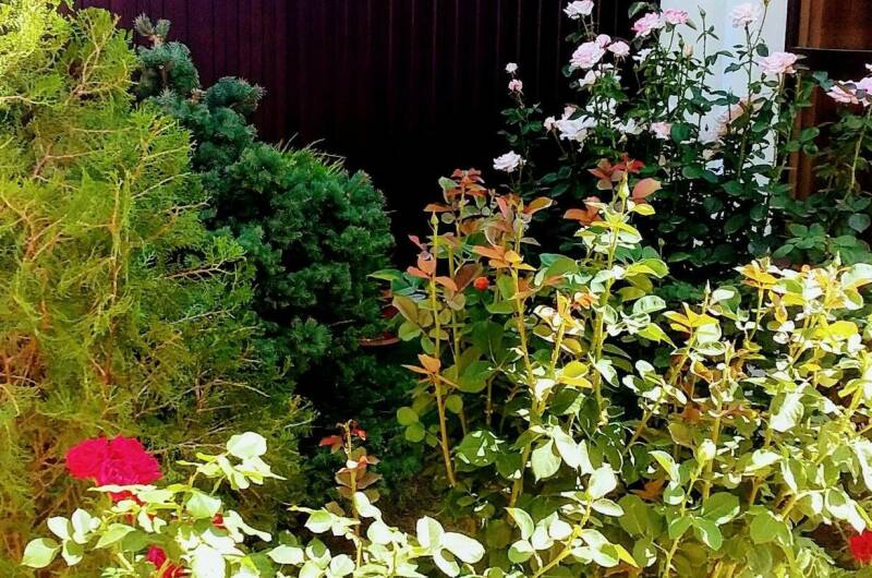 Изображение Изображение квартиры / апартамента "Двухкомнатный номер в частном доме" #10 #8