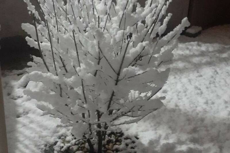 Изображение Изображение гостиницы "Мини-гостиница «Маяк»" #5 #5