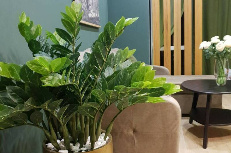 Изображение Изображение квартиры "Таунхаус в Головинке" #5 #5