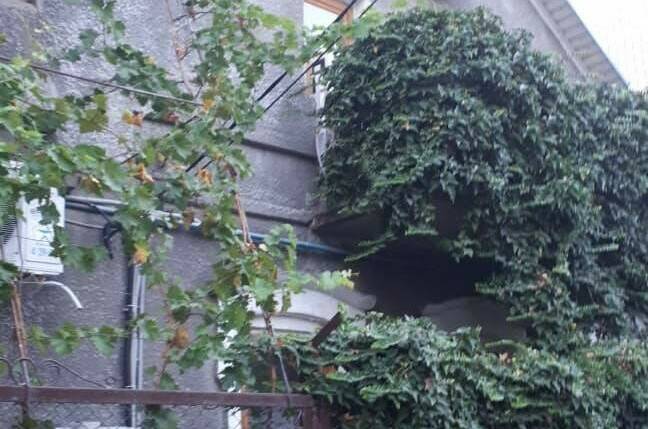 Изображение Изображение гостиницы &quot;Частный сектор «Солнце Анапы»&quot; #5 #5