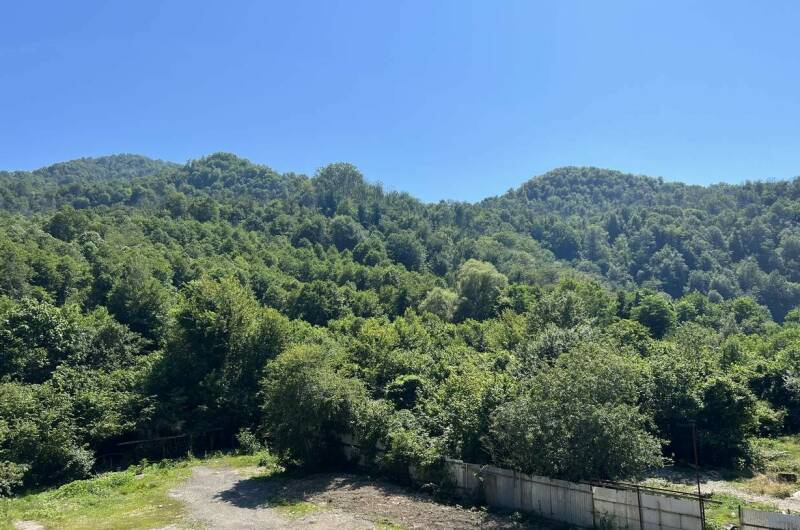 Изображение Изображение гостиницы &quot;Гостевой дом на ул. Черёмуховая&quot; #2 #2