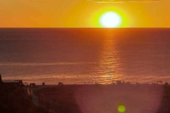 Изображение Изображение квартиры "Однокомнатная квартира" #7 #7