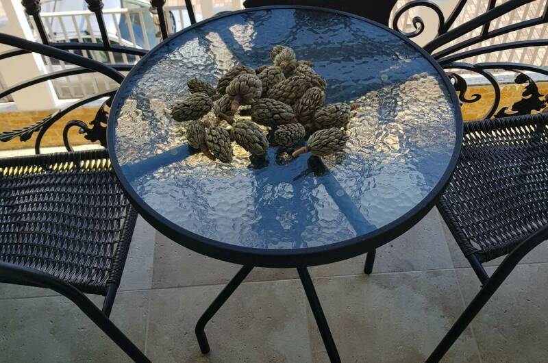 Изображение Изображение квартиры "Евродвушка в ЖК «Арт Лайт Сити»" #7 #7