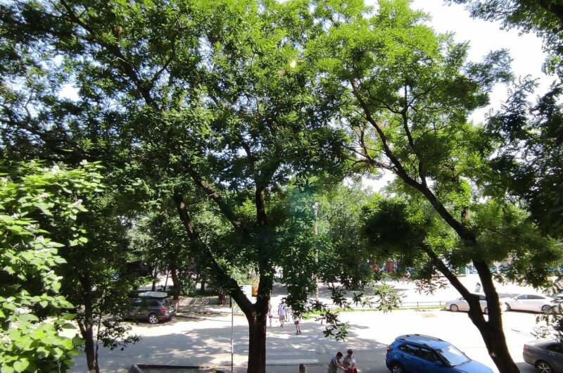 Изображение Изображение квартиры &quot;Однокомнатная квартира&quot; #2 #2