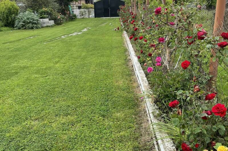 Изображение Изображение гостиницы "Уютные эко-домики" #3 #3