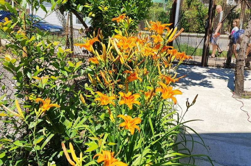 Изображение Изображение квартиры "Номер в частном доме" #7 #7