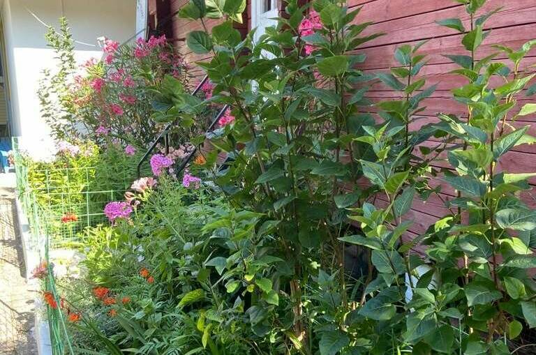 Изображение Изображение гостиницы &quot;Гостевой дом «Дарья»&quot; #5 #5