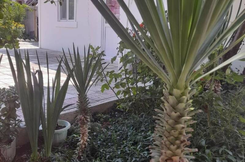 Изображение Изображение гостиницы &quot;Частный сектор «У Татьяны»&quot; #5 #5