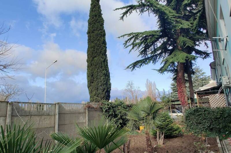 Изображение Изображение квартиры &quot;Квартира с отдельным входом и двором&quot; #3 #3