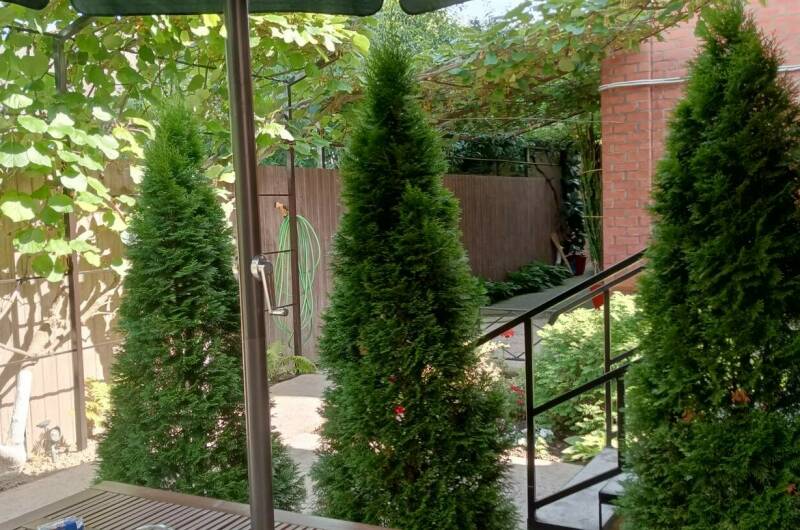 Изображение Изображение квартиры "Коттедж под ключ" #2 #2