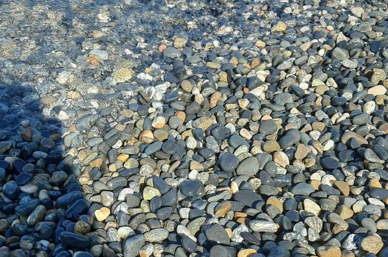 Изображение Изображение отеля / гостиницы "Вилла «Лиза»" #10 #8