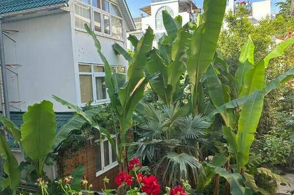 Изображение Изображение гостиницы &quot;Гостевой дом «Патио»&quot; #3 #3