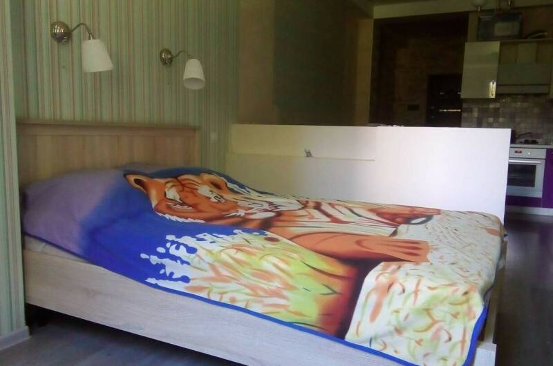 Изображение Изображение квартиры "Однокомнатная квартира «Andrei»" #2 #2