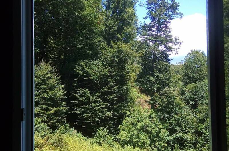 Изображение Изображение квартиры "Однокомнатная квартира «Andrei»" #6 #6