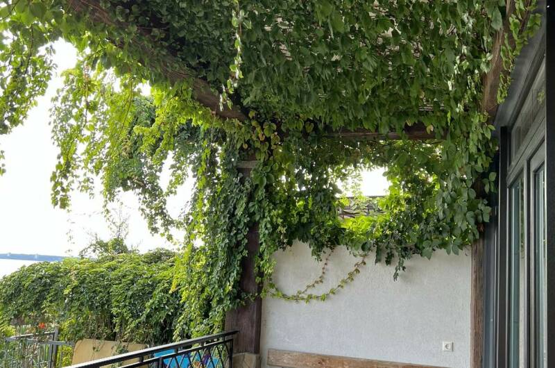 Изображение Изображение отеля / гостиницы "Гостевой дом «Арго»" #11 #9