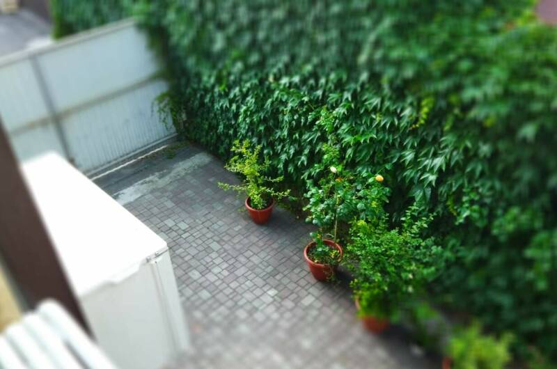 Изображение Изображение квартиры &quot;Двухкомнатная квартира на море (евродвушка)&quot; #5 #5