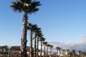 Изображение квартиры "Апартаменты в Сириусе"