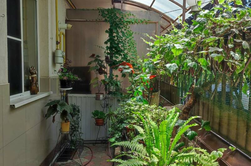 Изображение Изображение гостиницы &quot;Гостевой дом «Живой уголок»&quot; #3 #3