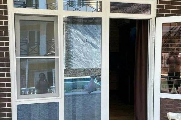 Изображение Изображение гостиницы &quot;Гостевой дом «Южная ночь»&quot; #4 #4