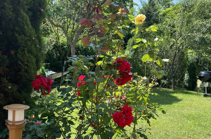 Изображение Изображение квартиры &quot;Апартаменты в КП «Резиденция солнца»&quot; #5 #5