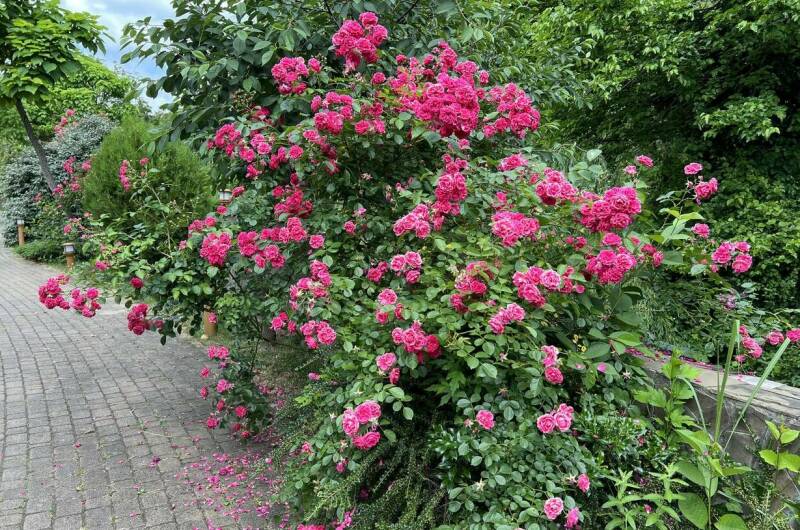 Изображение Изображение квартиры &quot;Апартаменты в КП «Резиденция солнца»&quot; #6 #6