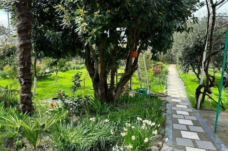 Изображение Изображение квартиры "Апартаменты с отдельным входом «Адам»" #1 #1