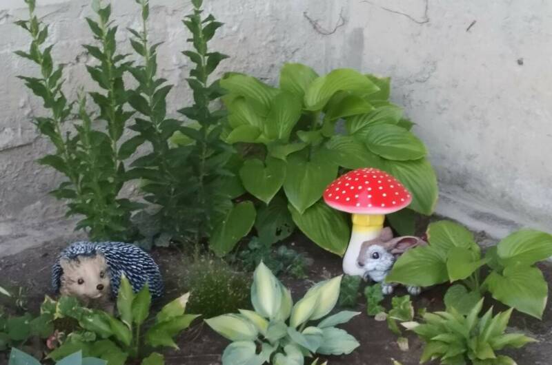 Изображение Изображение гостиницы &quot;Частный дом «Fiesta»&quot; #2 #2