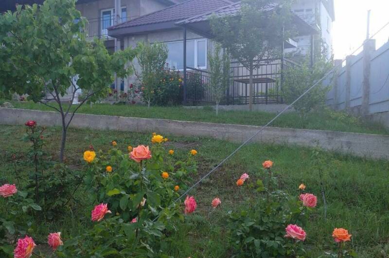 Изображение Изображение гостиницы &quot;Частный дом «Fiesta»&quot; #4 #4