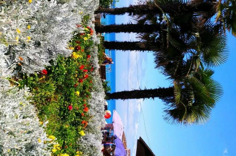 Изображение Изображение квартиры "Студия у моря" #6 #6