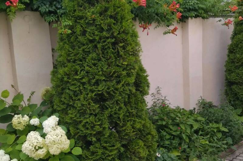 Изображение Изображение гостиницы &quot;Гостевой дом «Ирэн»&quot; #3 #3