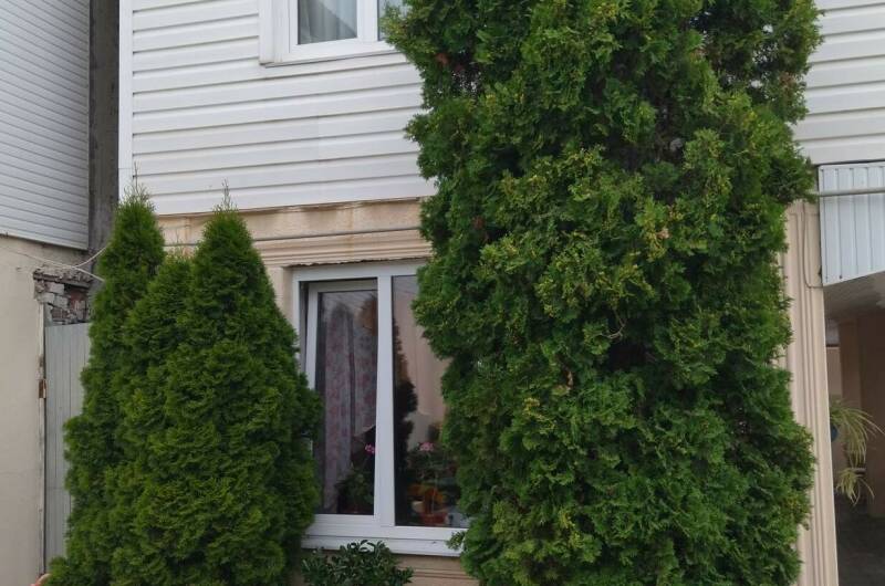 Изображение Изображение гостиницы &quot;Гостевой дом «Ирэн»&quot; #5 #5