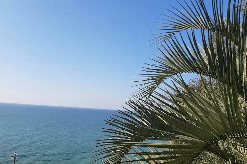 Изображение Изображение гостиницы &quot;Гостевой дом «Port Maria»&quot; #2 #2