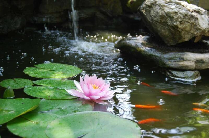 Изображение Изображение гостиницы &quot;Гостевой дом «Port Maria»&quot; #4 #4