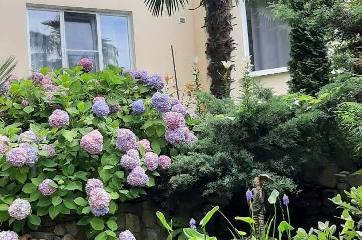 Изображение Изображение гостиницы &quot;Гостевой дом «Port Maria»&quot; #6 #6