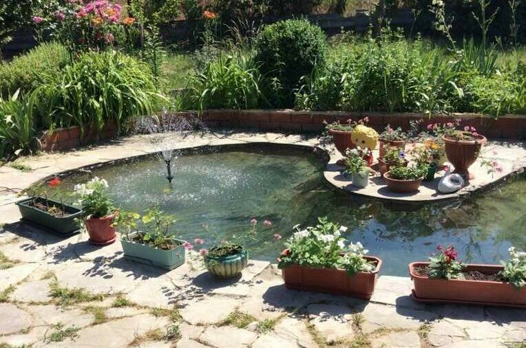 Изображение Изображение гостиницы &quot;Гостевой дом «Людмила»&quot; #6 #6