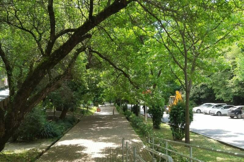 Изображение Изображение квартиры &quot;1-к квартира на 2−3 человек&quot; #5 #5