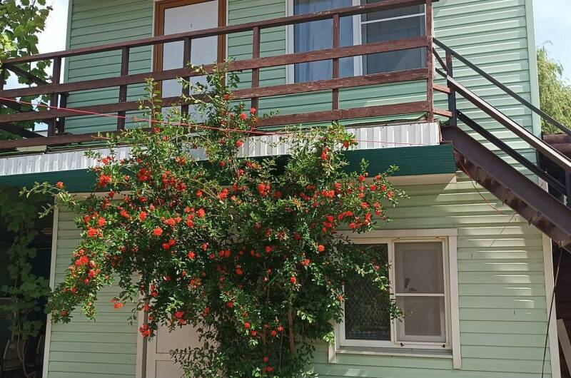 Изображение Изображение гостиницы &quot;Гостевой дом «Берег»&quot; #5 #5