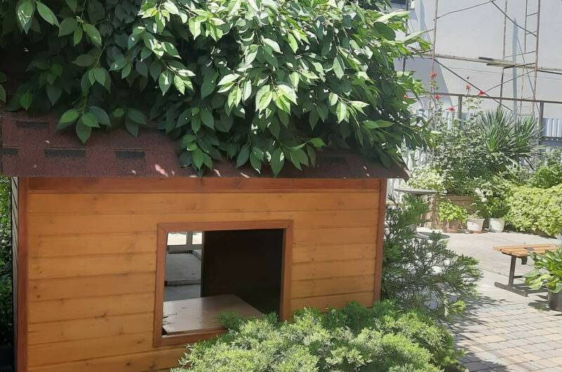 Изображение Изображение гостиницы &quot;Частный дом «Анастасия»&quot; #5 #5