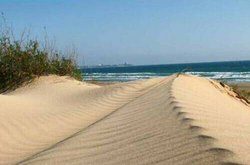 Изображение Изображение квартиры &quot;Уютные апартаменты на Джемете&quot; #8 #8