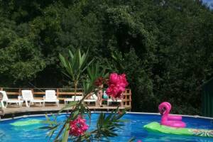 Изображение гостиницы "База отдыха «У Дарьи»"