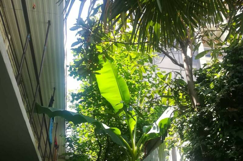 Изображение Изображение гостиницы &quot;Гостевой дом «У Натальи»&quot; #2 #2