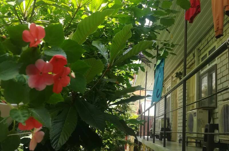 Изображение Изображение гостиницы &quot;Гостевой дом «У Натальи»&quot; #6 #6