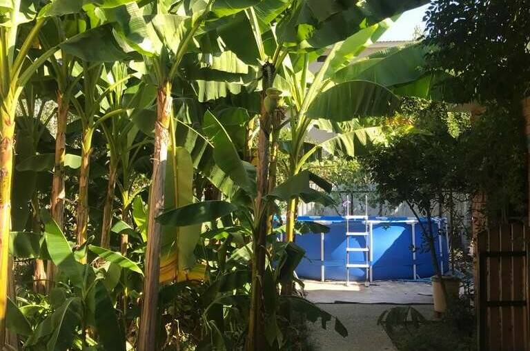 Изображение Изображение гостиницы "Частный дом «У Ларисы»" #1 #1