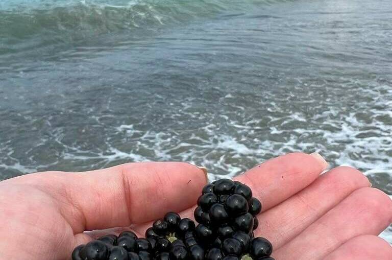 Изображение Изображение квартиры "«Эко» домик" #2 #2