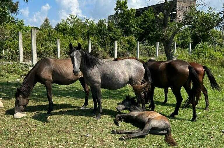 Изображение Изображение квартиры "«Эко» домик" #3 #3